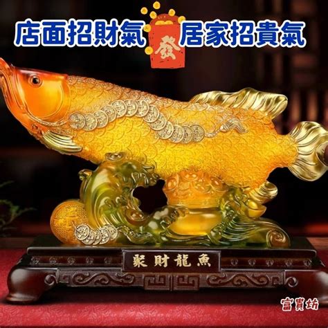 招財的魚|【招財風水魚種類】招財風水魚懶人包：品種、特性、影響運勢一。